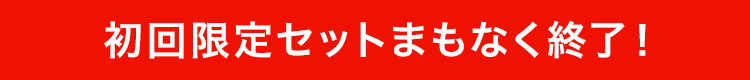 初回限定セットまもなく終了!